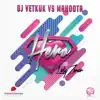 Vetkuk & Mahoota - Hero (DJ Vetkuk Vs. Mahoota) [feat. Lady Zamar] - Single